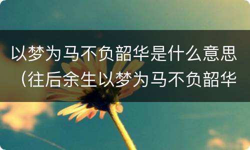以梦为马不负韶华是什么意思（往后余生以梦为马不负韶华是什么意思）