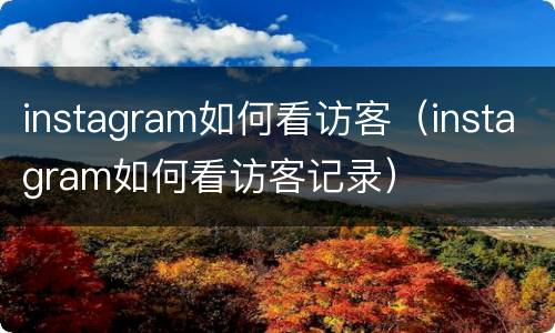 instagram如何看访客（instagram如何看访客记录）