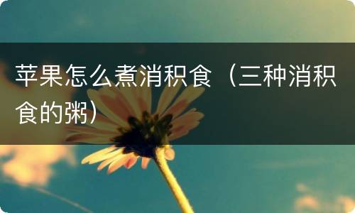 苹果怎么煮消积食（三种消积食的粥）