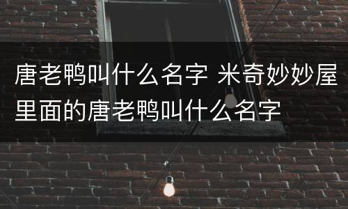 唐老鸭叫什么名字 米奇妙妙屋里面的唐老鸭叫什么名字