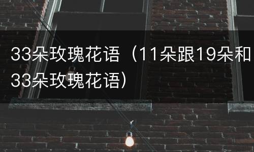 33朵玫瑰花语（11朵跟19朵和33朵玫瑰花语）