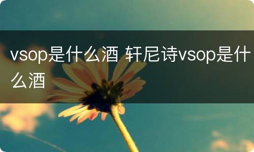 vsop是什么酒 轩尼诗vsop是什么酒