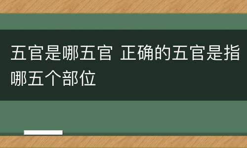 五官是哪五官 正确的五官是指哪五个部位