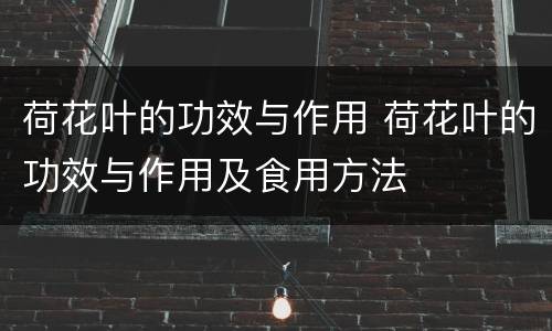 荷花叶的功效与作用 荷花叶的功效与作用及食用方法
