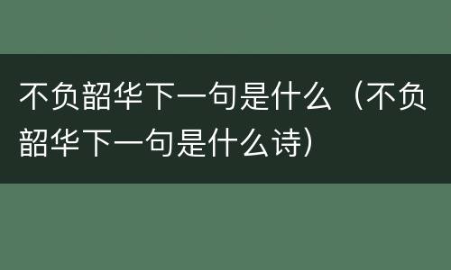 不负韶华下一句是什么（不负韶华下一句是什么诗）