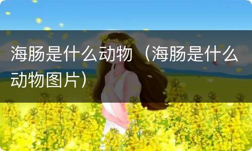 海肠是什么动物（海肠是什么动物图片）