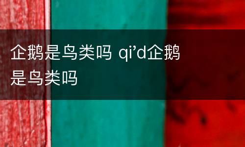 企鹅是鸟类吗 qi'd企鹅是鸟类吗