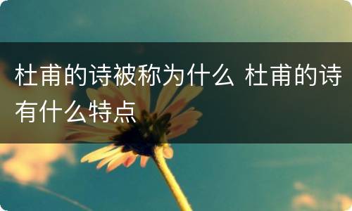 杜甫的诗被称为什么 杜甫的诗有什么特点