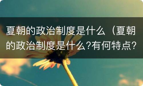 夏朝的政治制度是什么（夏朝的政治制度是什么?有何特点?）