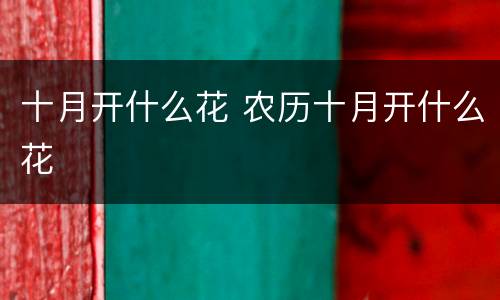 十月开什么花 农历十月开什么花