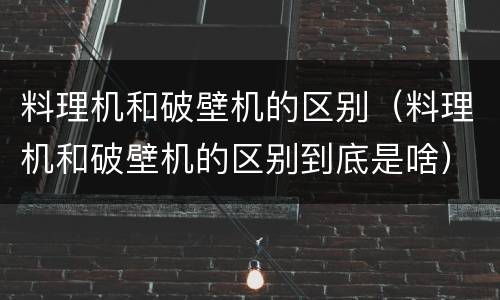 料理机和破壁机的区别（料理机和破壁机的区别到底是啥）