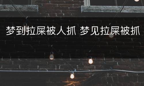 梦到拉屎被人抓 梦见拉屎被抓