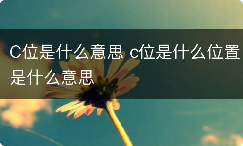 C位是什么意思 c位是什么位置是什么意思