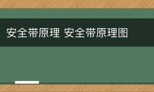 安全带原理 安全带原理图