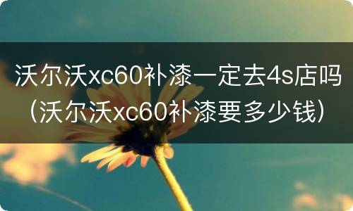 沃尔沃xc60补漆一定去4s店吗（沃尔沃xc60补漆要多少钱）