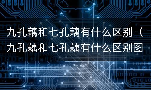 九孔藕和七孔藕有什么区别（九孔藕和七孔藕有什么区别图片）