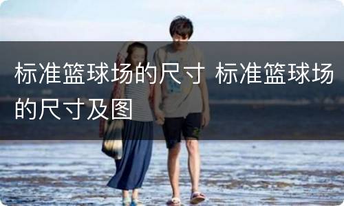 标准篮球场的尺寸 标准篮球场的尺寸及图