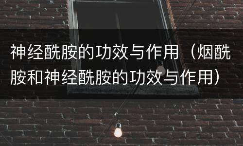 神经酰胺的功效与作用（烟酰胺和神经酰胺的功效与作用）