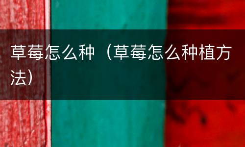 草莓怎么种（草莓怎么种植方法）