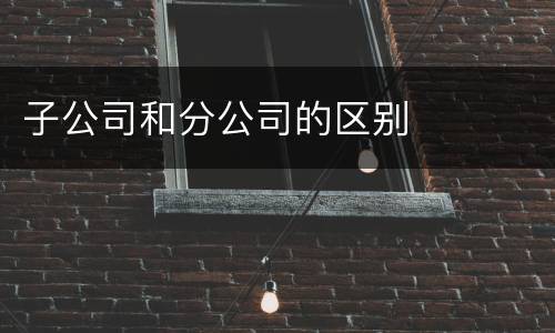 子公司和分公司的区别