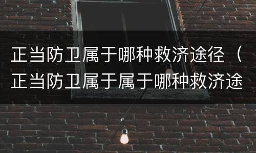 正当防卫属于哪种救济途径（正当防卫属于属于哪种救济途径）