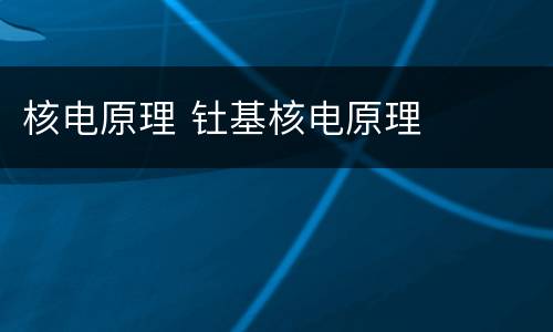 核电原理 钍基核电原理