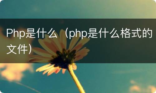 Php是什么（php是什么格式的文件）