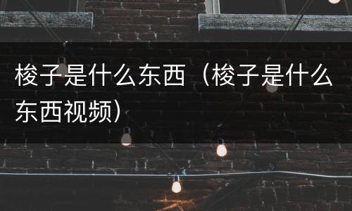 梭子是什么东西（梭子是什么东西视频）