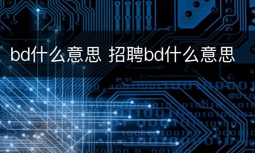 bd什么意思 招聘bd什么意思