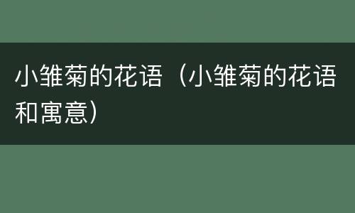 小雏菊的花语（小雏菊的花语和寓意）