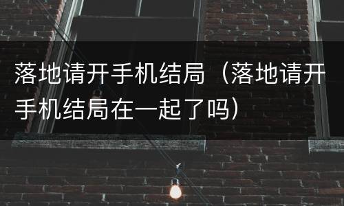 落地请开手机结局（落地请开手机结局在一起了吗）
