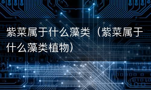 紫菜属于什么藻类（紫菜属于什么藻类植物）