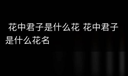  花中君子是什么花 花中君子是什么花名