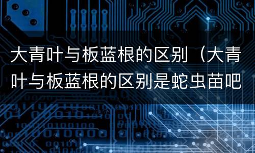 大青叶与板蓝根的区别（大青叶与板蓝根的区别是蛇虫苗吧）