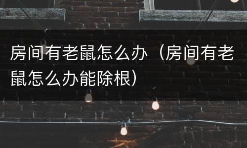 房间有老鼠怎么办（房间有老鼠怎么办能除根）