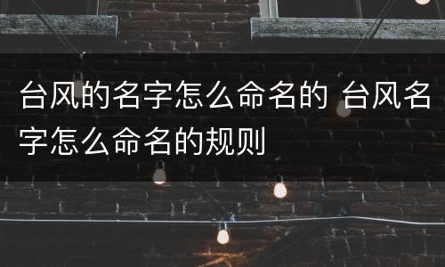 台风的名字怎么命名的 台风名字怎么命名的规则