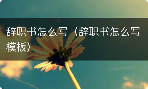 辞职书怎么写（辞职书怎么写模板）