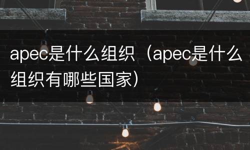 apec是什么组织（apec是什么组织有哪些国家）