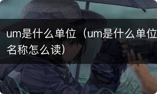 um是什么单位（um是什么单位名称怎么读）