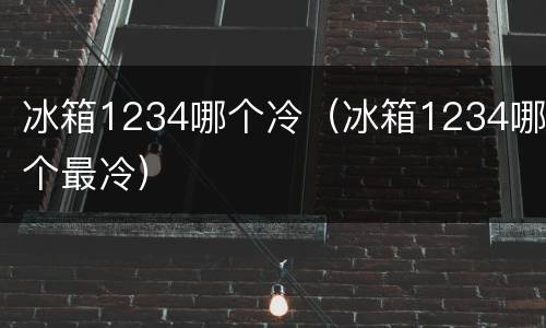 冰箱1234哪个冷（冰箱1234哪个最冷）