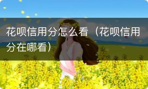 花呗信用分怎么看（花呗信用分在哪看）