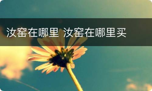 汝窑在哪里 汝窑在哪里买