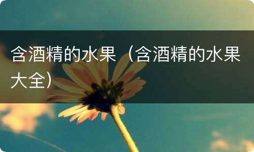 含酒精的水果（含酒精的水果大全）