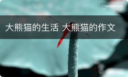 大熊猫的生活 大熊猫的作文