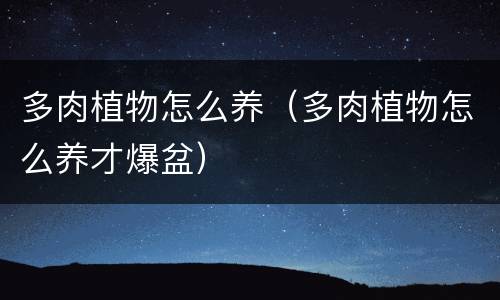 多肉植物怎么养（多肉植物怎么养才爆盆）