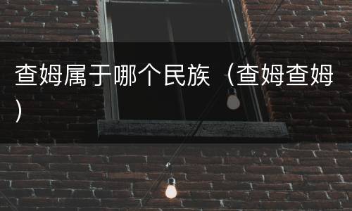 查姆属于哪个民族（查姆查姆）