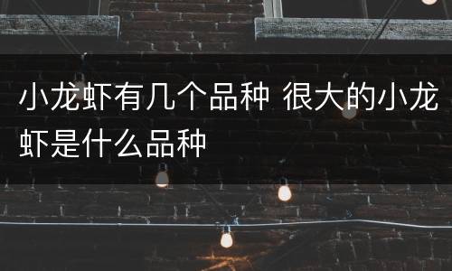 小龙虾有几个品种 很大的小龙虾是什么品种
