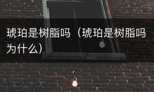 琥珀是树脂吗（琥珀是树脂吗为什么）