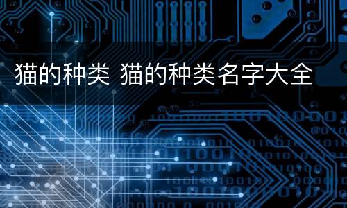 猫的种类 猫的种类名字大全
