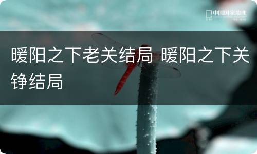暖阳之下老关结局 暖阳之下关铮结局